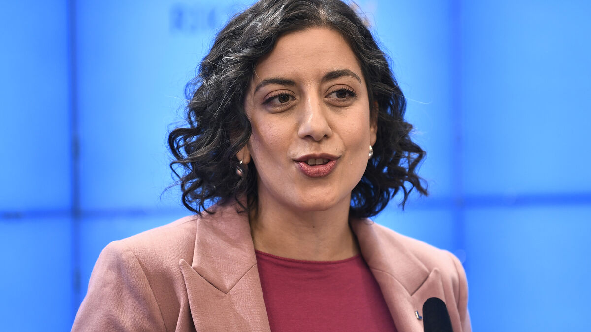 Threats to Swedish democracy from Islamism to be investigated
