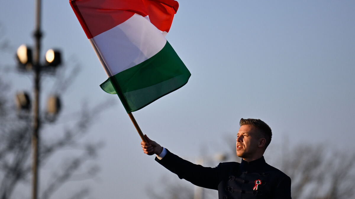 How Péter Magyar became Viktor