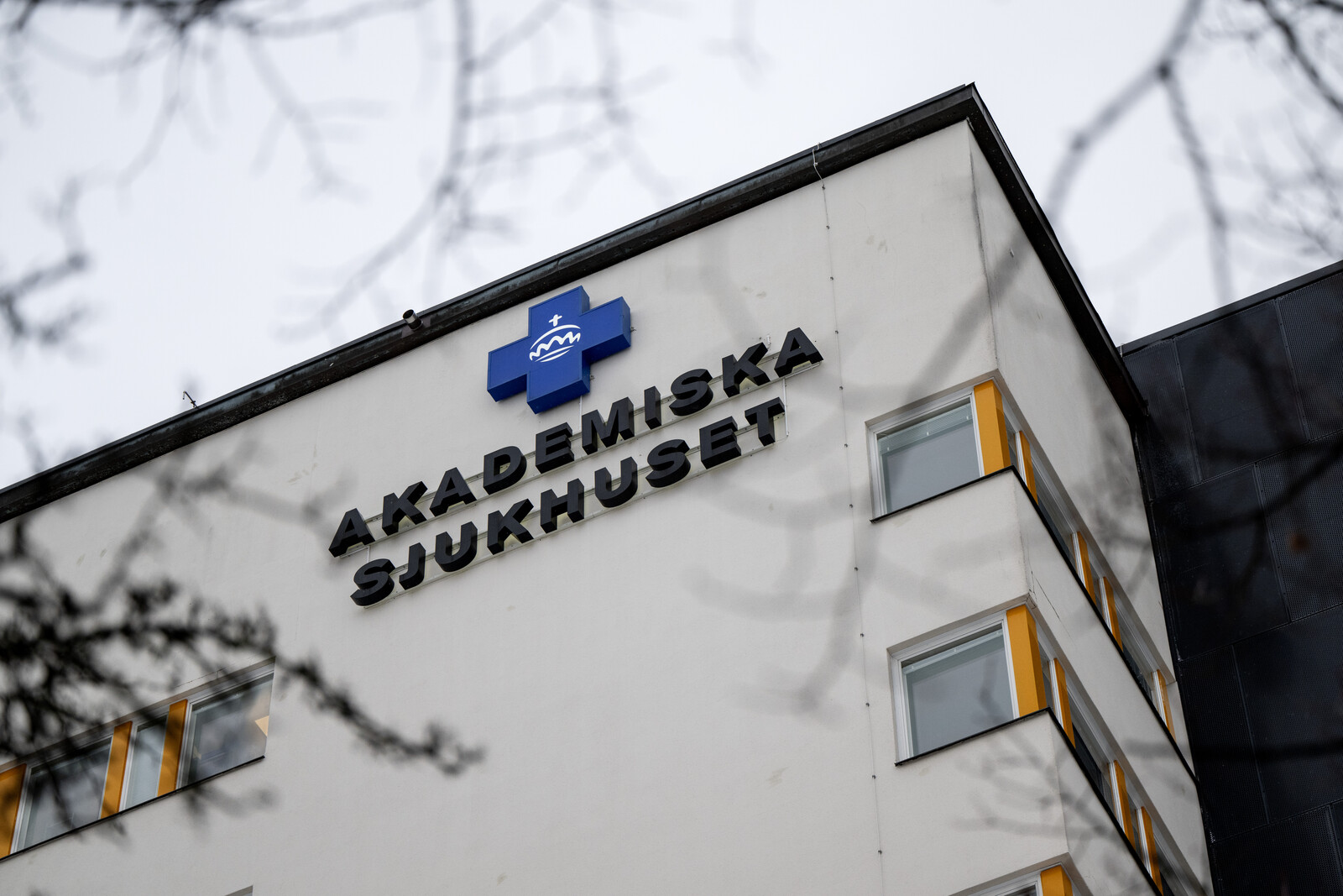 Journal System Restored After Uppsala IT Outage
