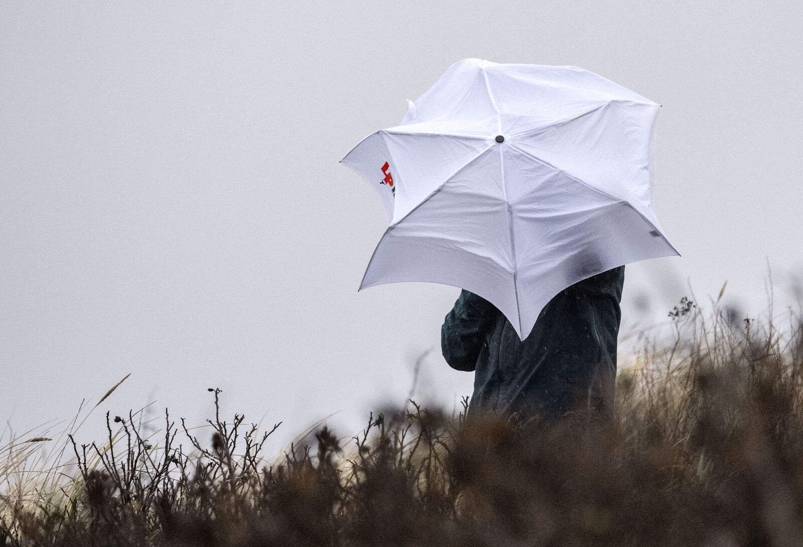 Wind Warning Issued for Eastern
