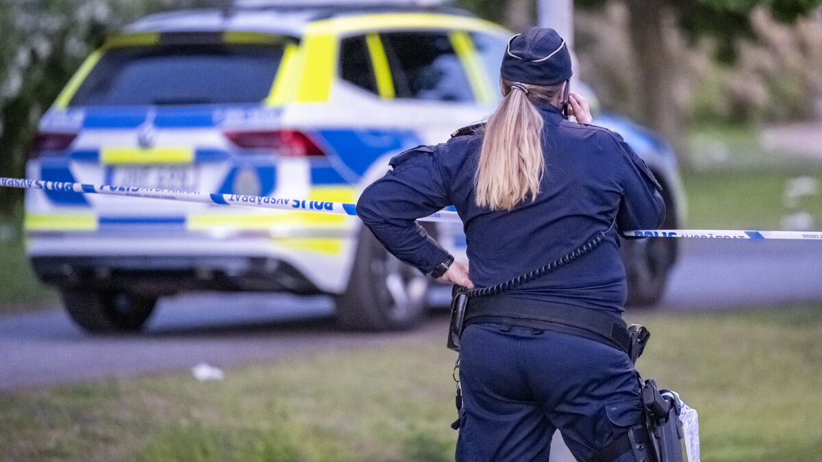 Fights and a deer killed - that's how Midsummer was