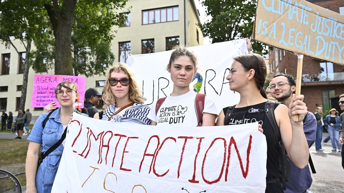 Election years boost climate engagement in Sweden, researchers say