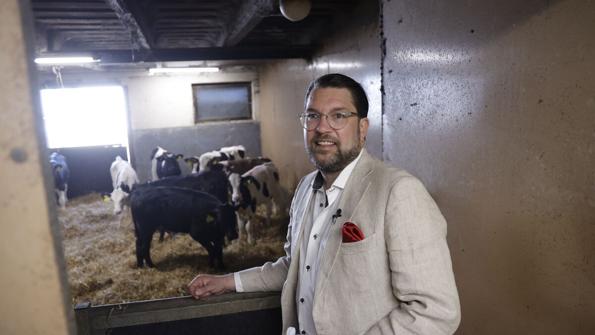Åkesson wants state credit guarantees for Swedish agriculture