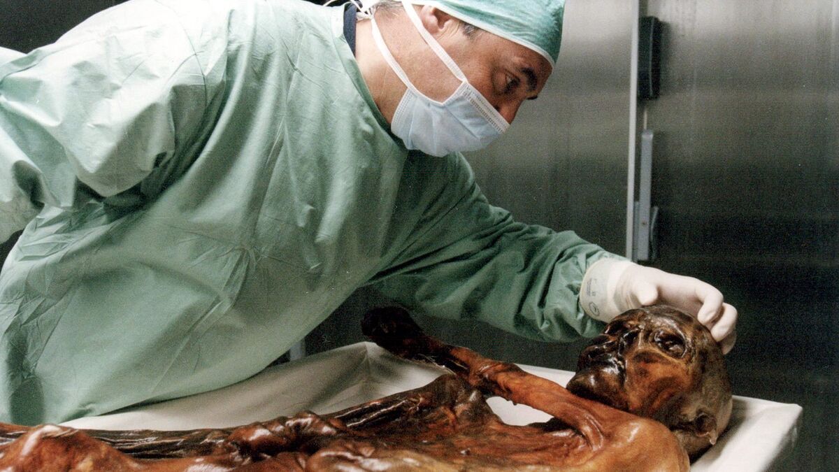 Scientists bake sourdough bread using