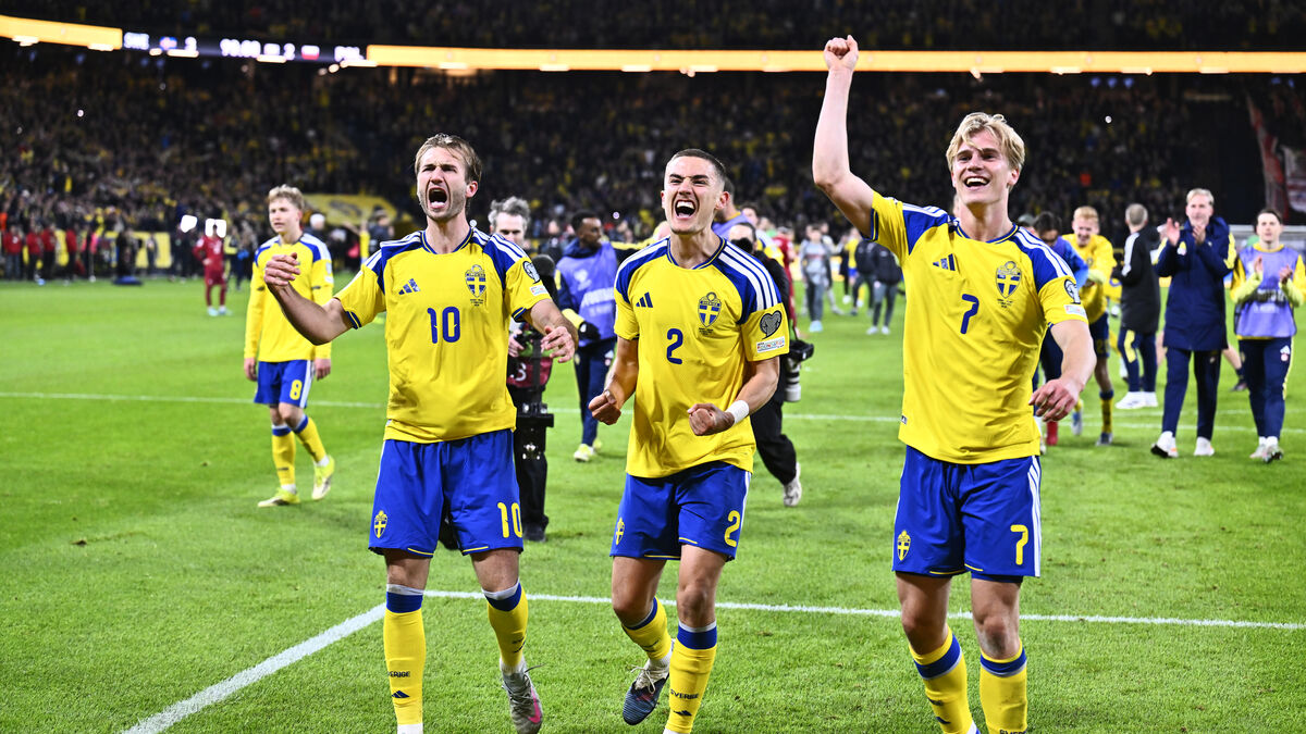 Here is the Swedish World Cup squad selected by Graham Potter