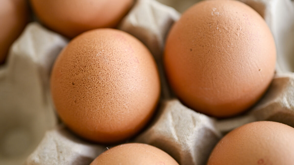 Organic Eggs Recalled in Sweden