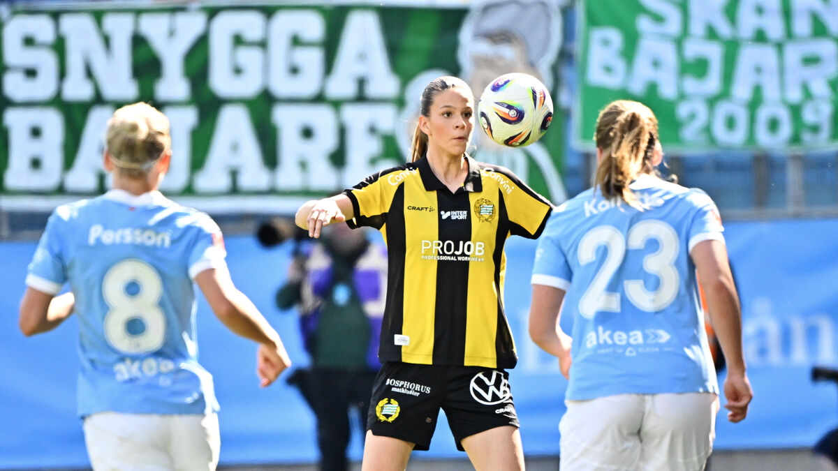 Rolfö on the bench -