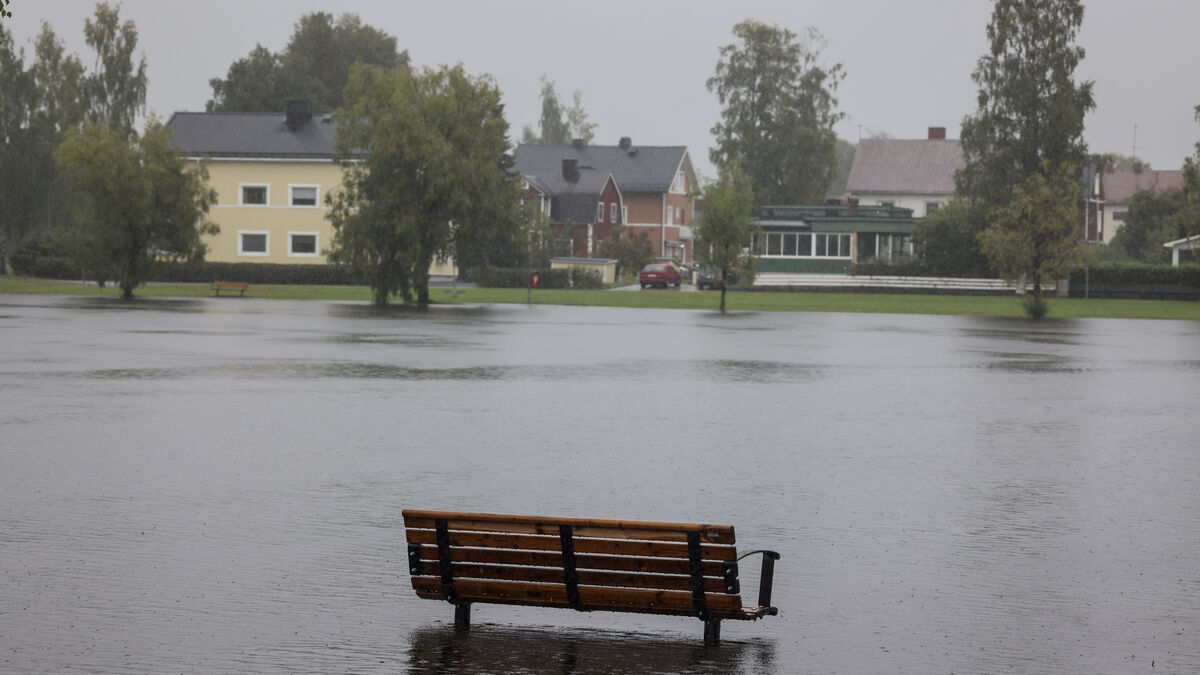 Persistent rain triggers flooding risk