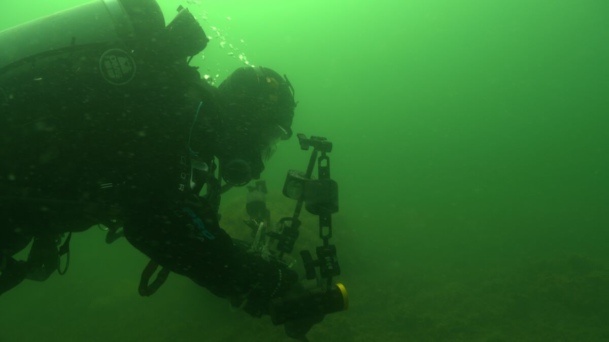 Havmanden wreck with dark history is to be re-examined
