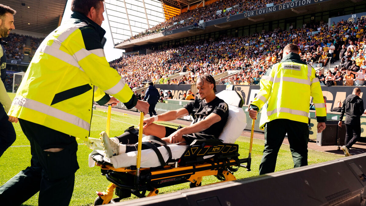 Netherlands loses key player -