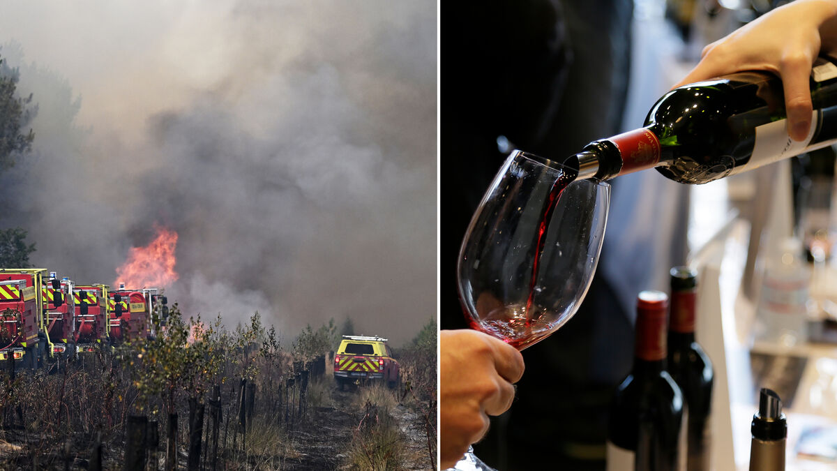 Summer fires could push up