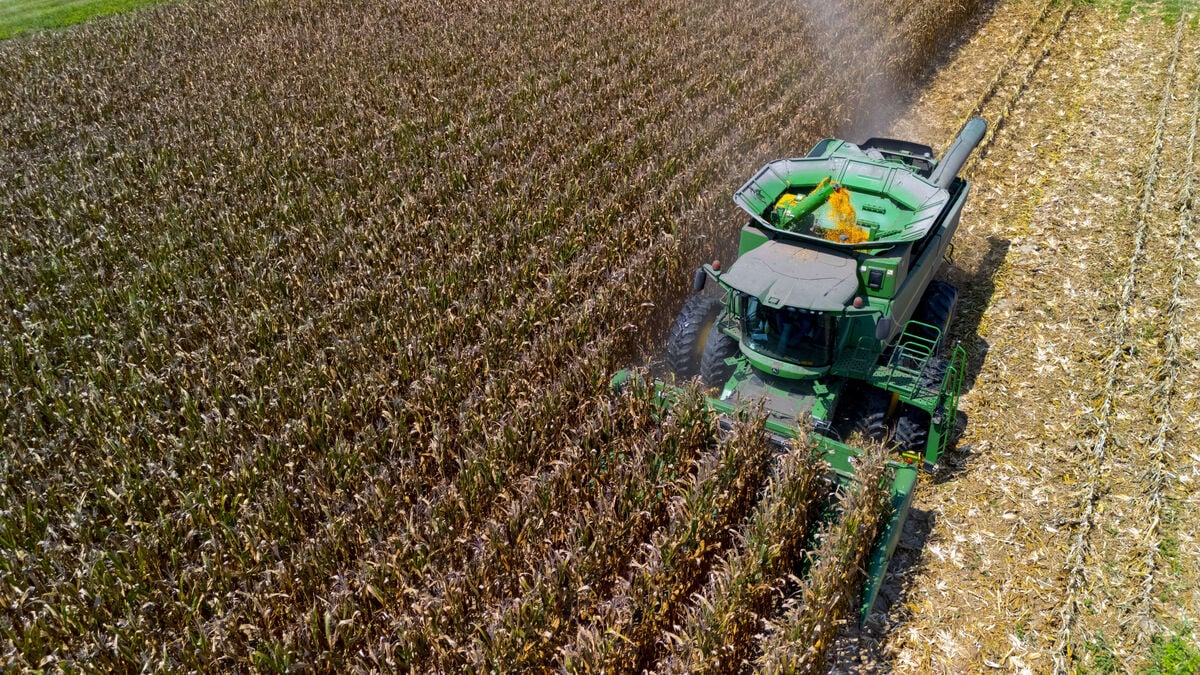 US producer prices rise 4.7% in July, below expectations