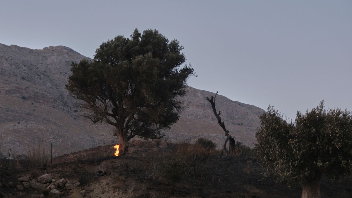 New wildfire breaks out outside