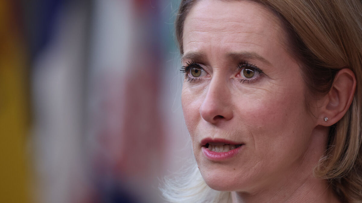 Kaja Kallas proposes new EU