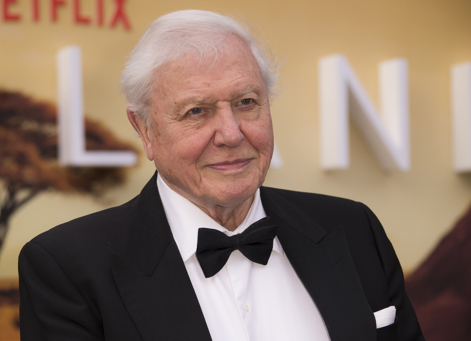 Attenborough "Extremely Disturbed" over AI Clone