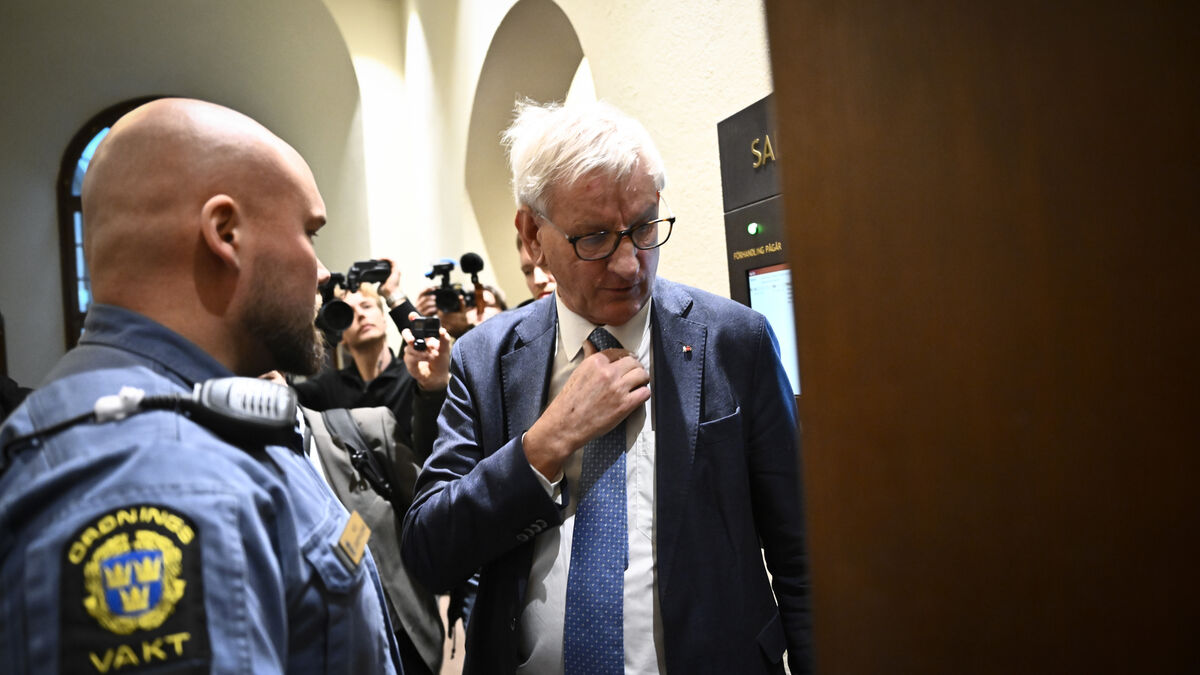 Bildt: Lundin became a positive force in the area