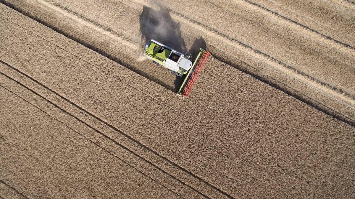 Fertilizer and diesel price shock