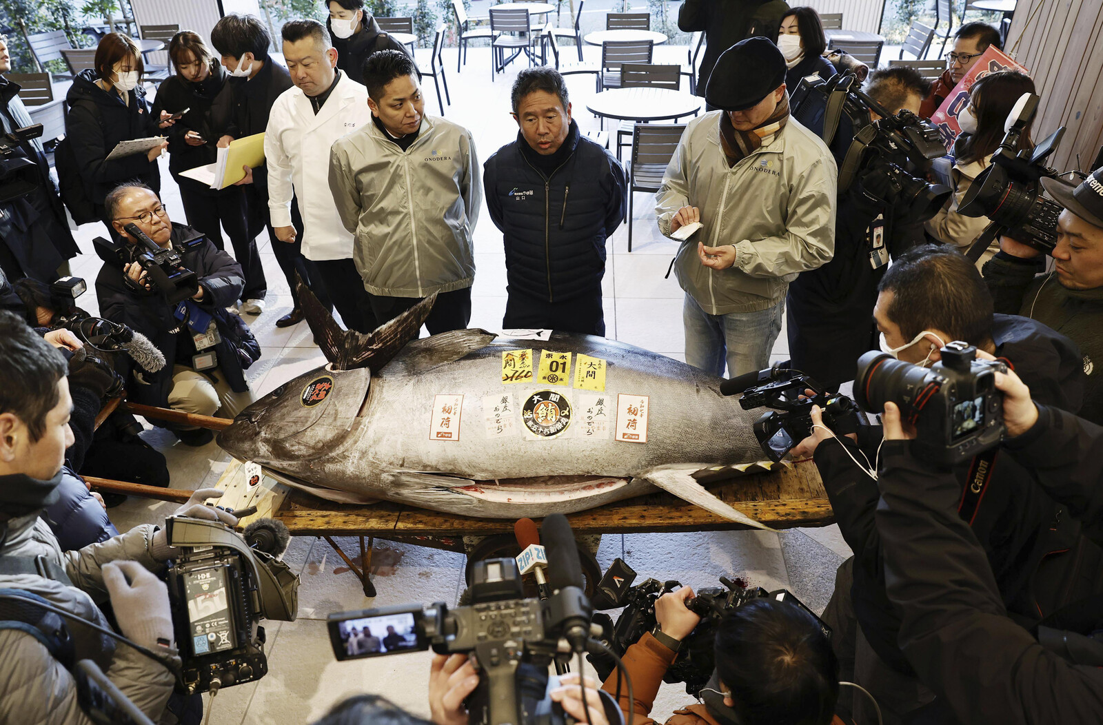 Bluefin Tuna for 14 Million