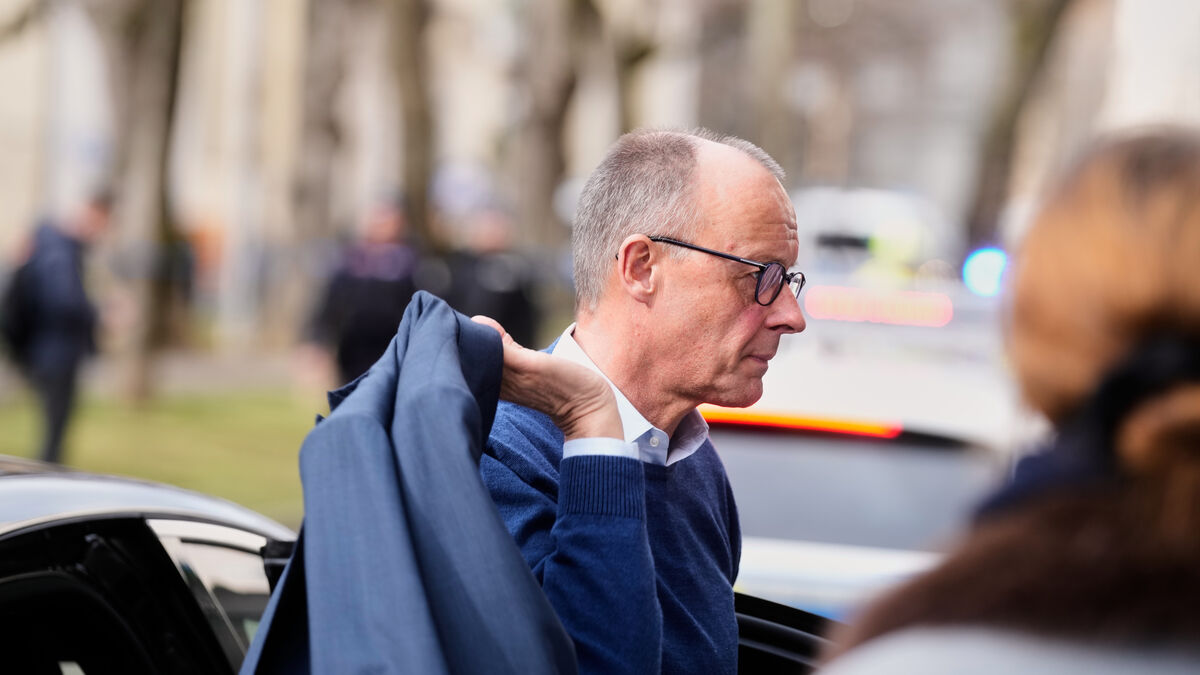 Merz: Let's repair the damaged