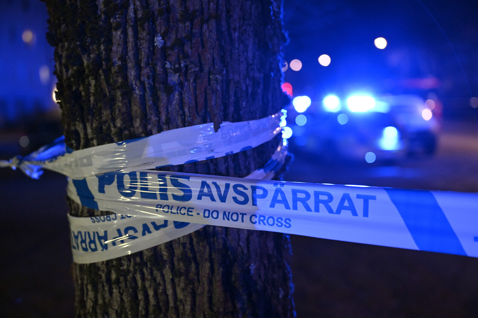 Murder Suspect in Gnosjö May Be Mentally Ill