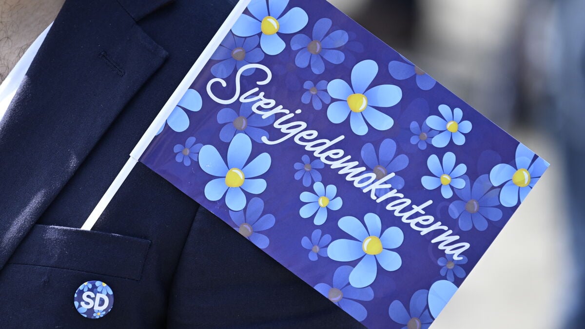 Sweden Democrats bypassed political ad ban with construction site ads, report says