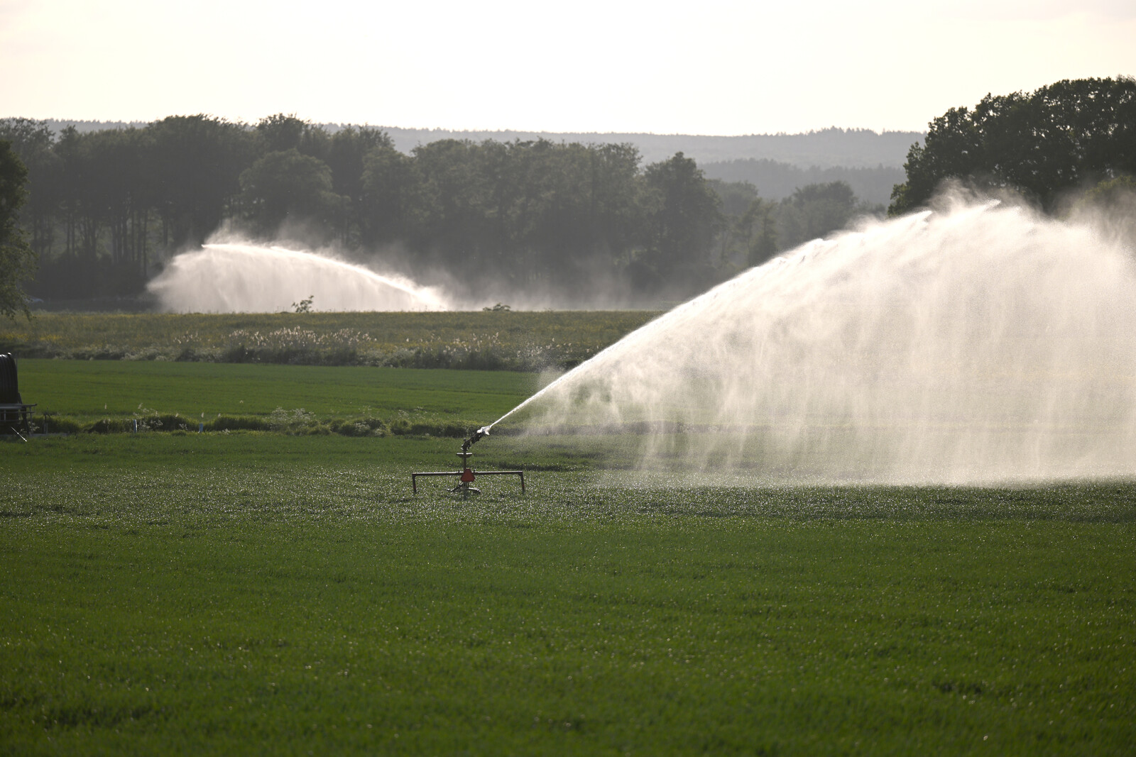 Water Shortage Risk in Eight
