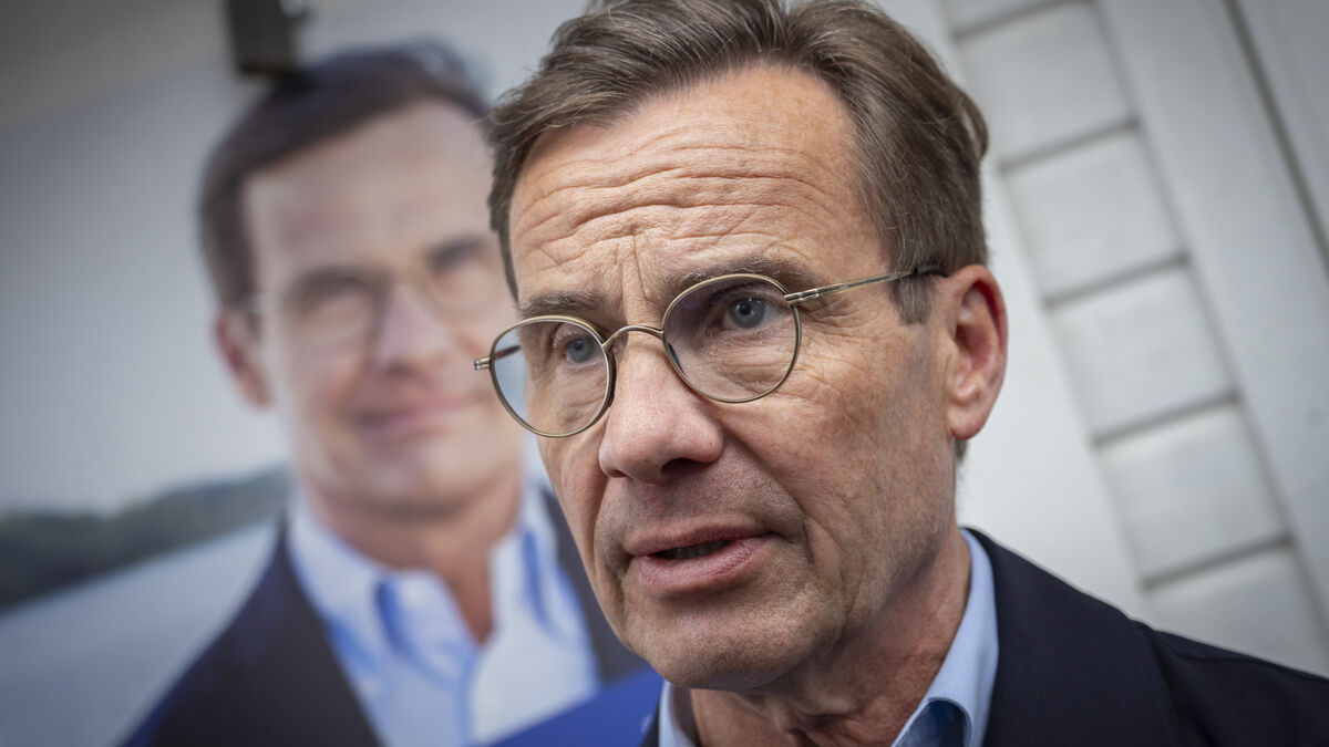 Strömmer: SD official should resign if Expo report is true
