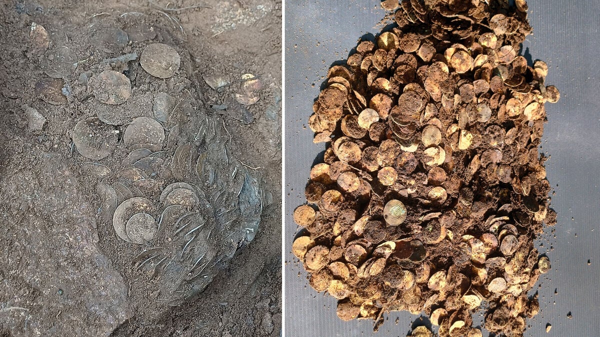 Finland uncovers largest late Iron Age coin hoard, weighing about 4.5 kilos