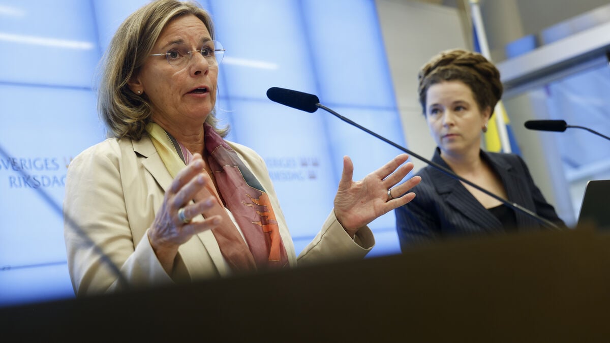 Green Party demands 3.3 billion kronor support package for the Baltic Sea