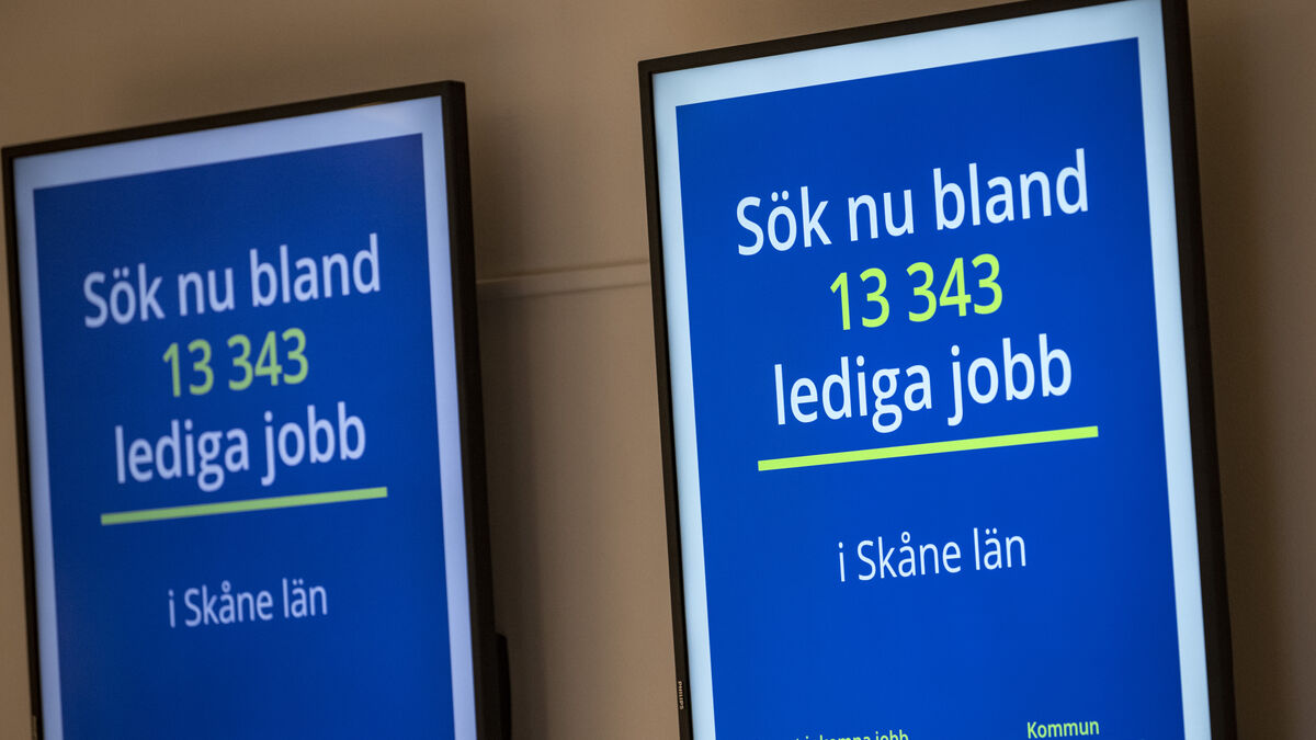 Youth Unemployment Declines as Labor Market Brightens
