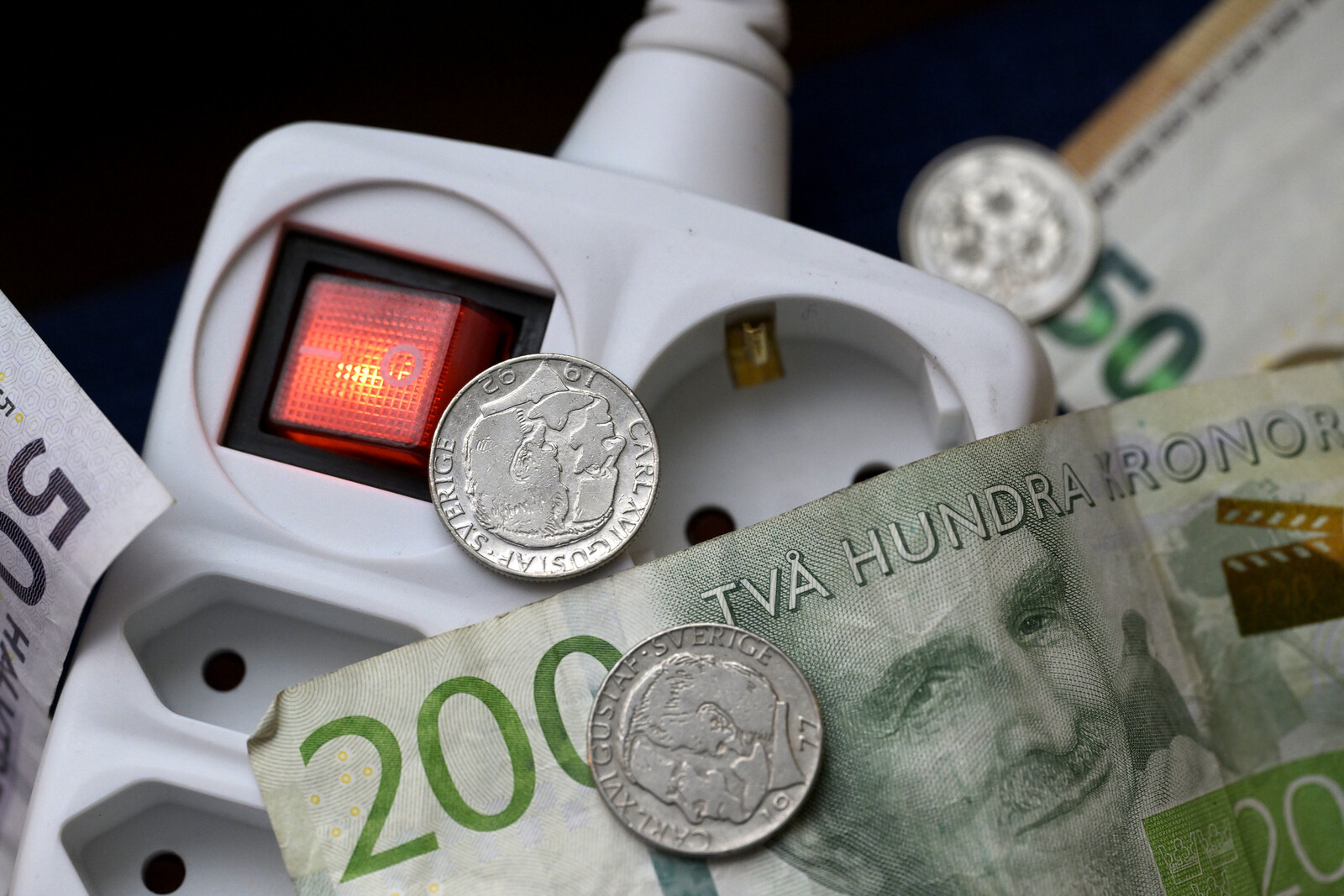 Electricity Decision Criticized for Impact on Swedish Economy