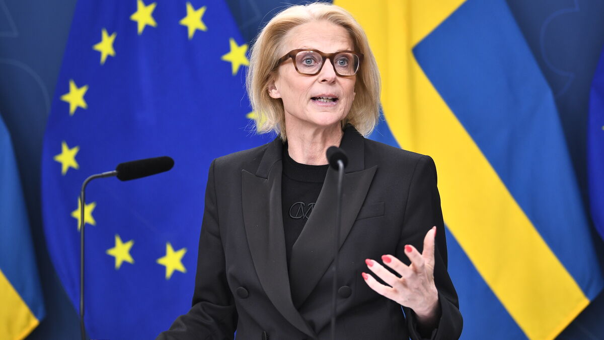 Svantesson defends the support as temporary and targeted