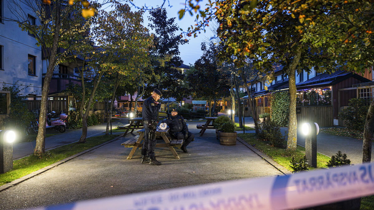 Police Collaboration Key in Arresting 200 Swedish Criminals Abroad