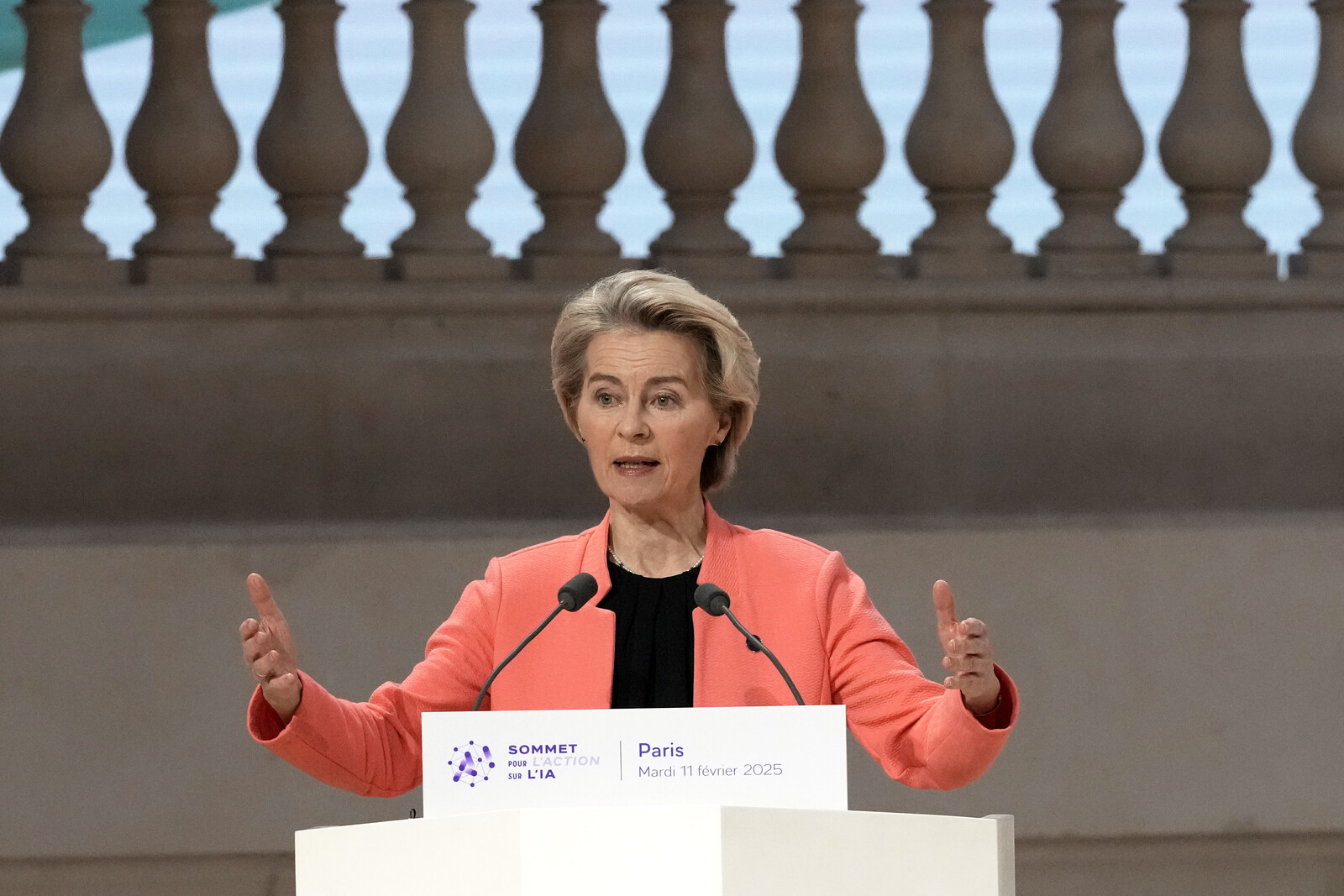 The EU's major investment in