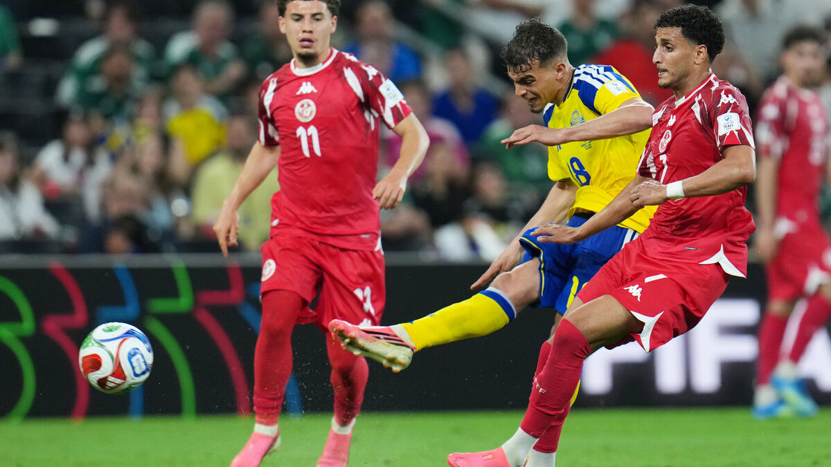Eight Tunisia World Cup players