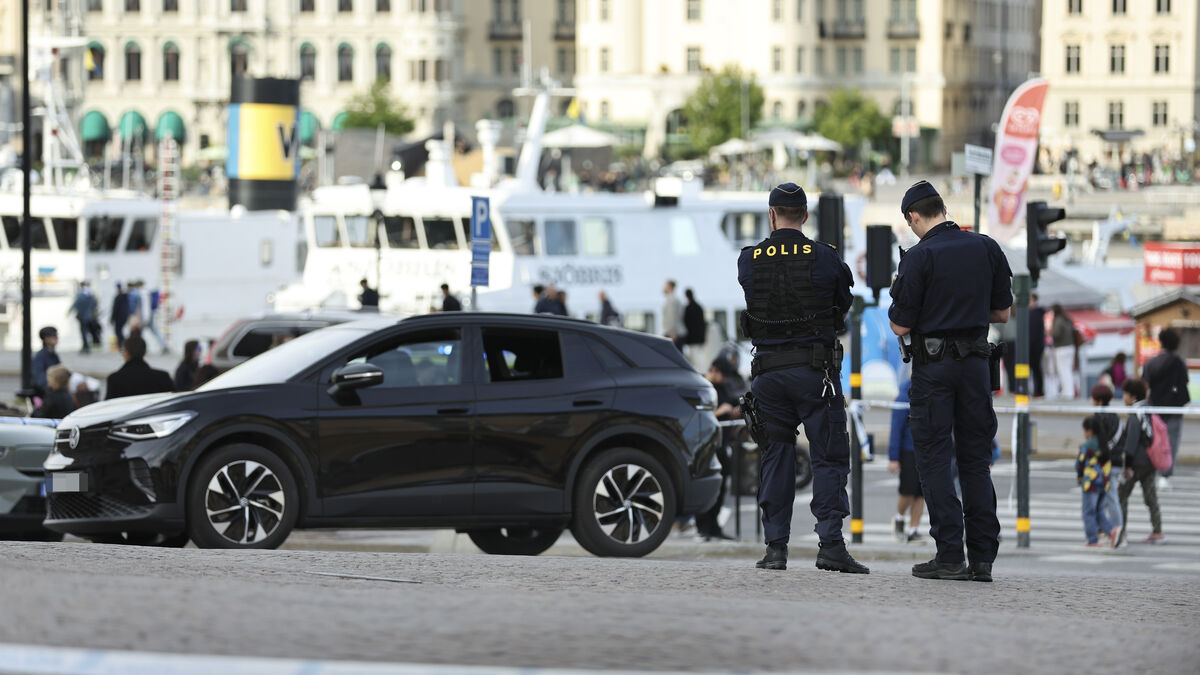 Man in his 80s convicted in fatal Stockholm palace accident