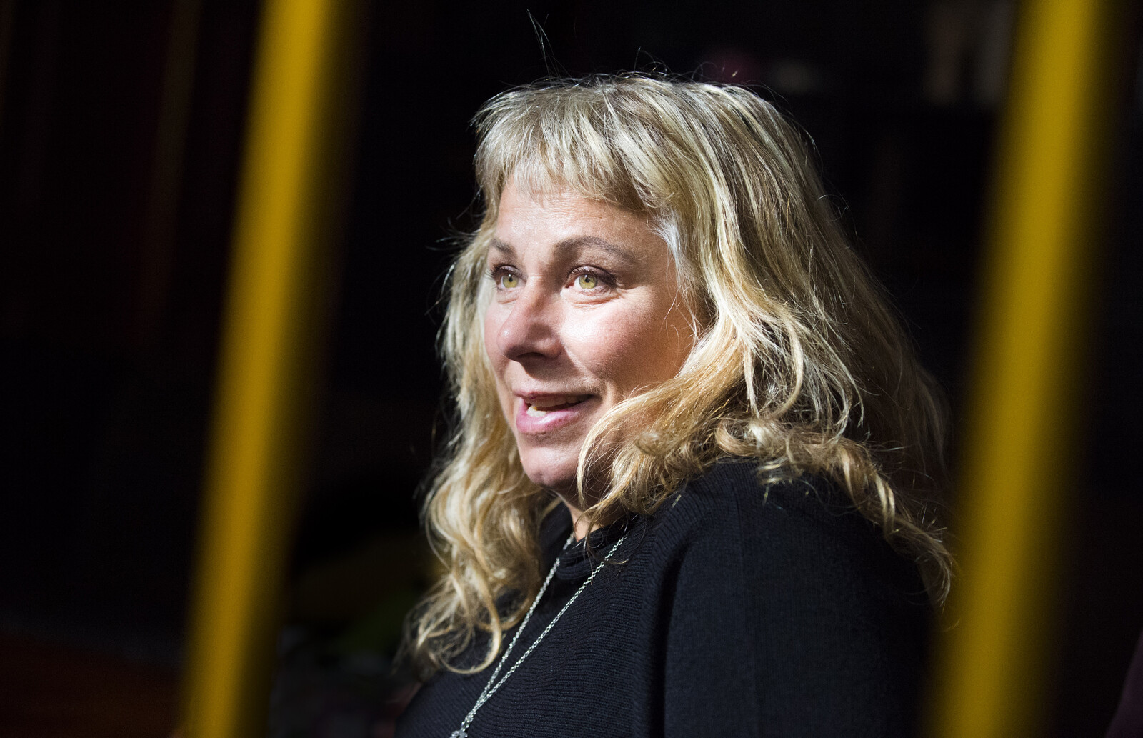 Wollter criticized ahead of TV program: "Jew-hater"