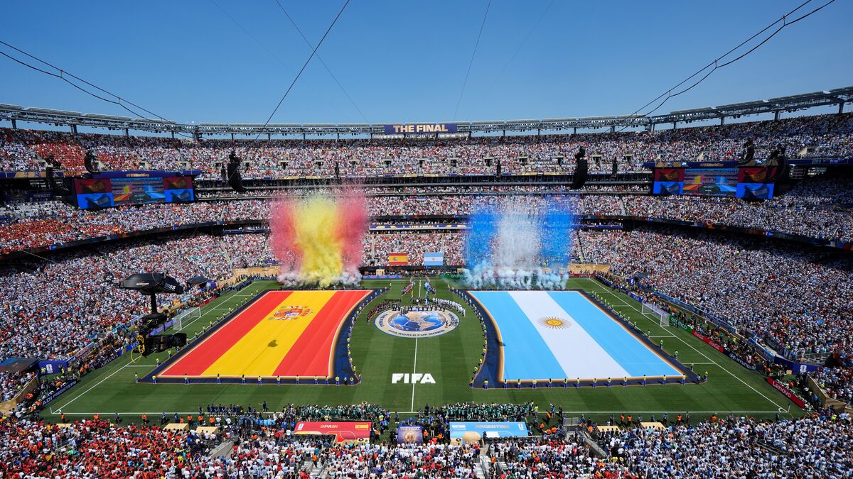 New Jersey politician seeks to block FIFA’s sale of World Cup grass, calls it illegal