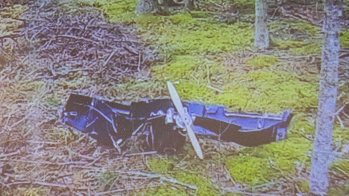 Expert says crashed drone likely flew over Belarus