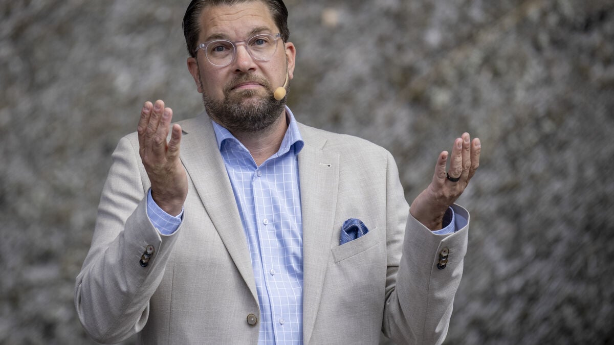 Åkesson attacks Busch: Can KD be trusted?
