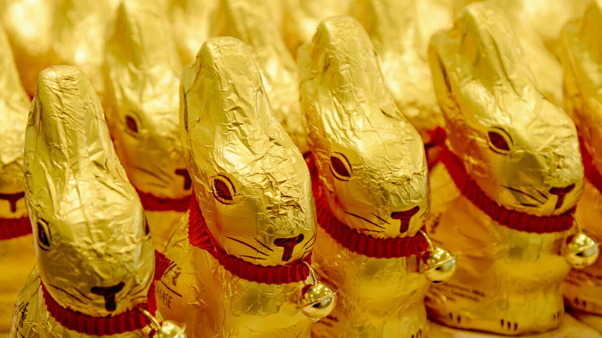 The chocolate bear gives out an unexpected dividend