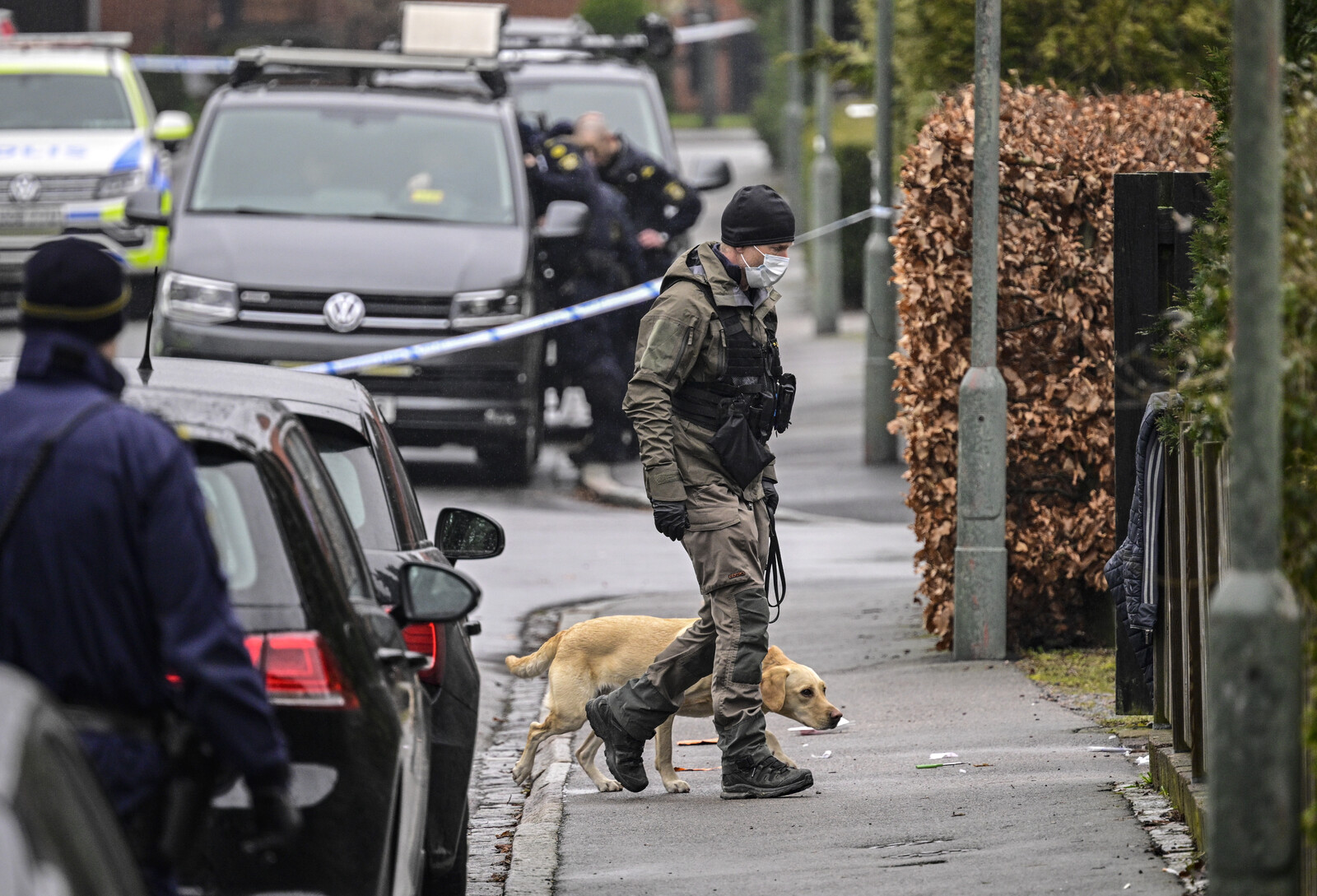 Killed father with bayonet –
