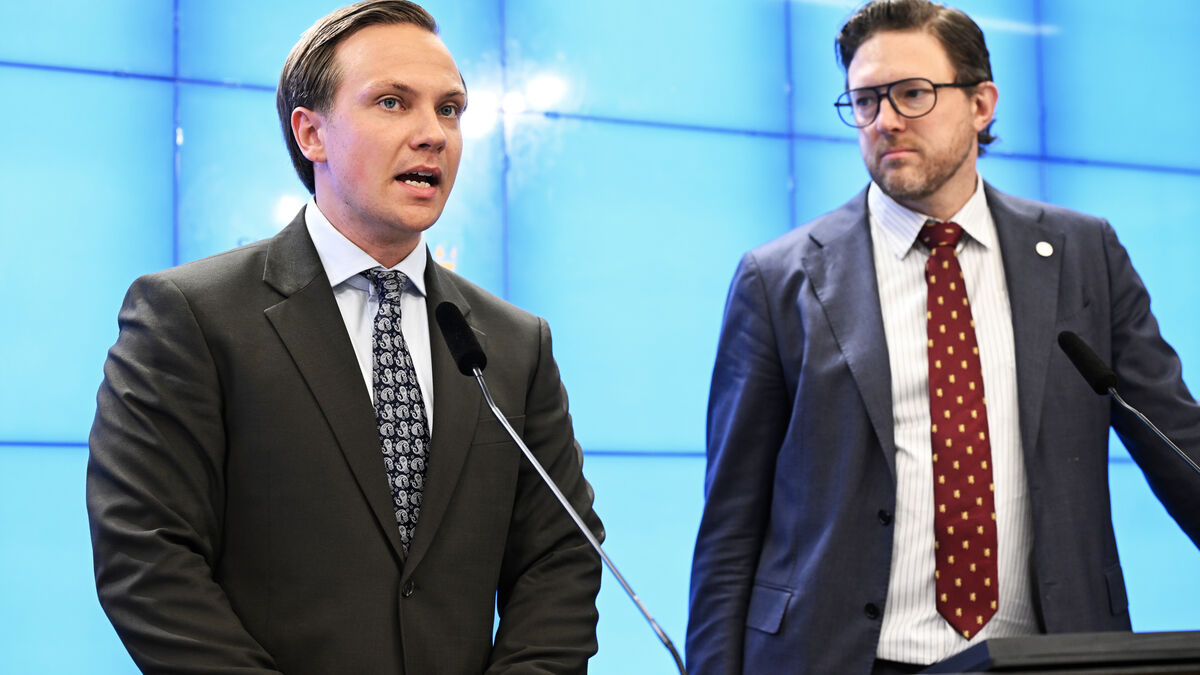 Sweden Democrats want to establish