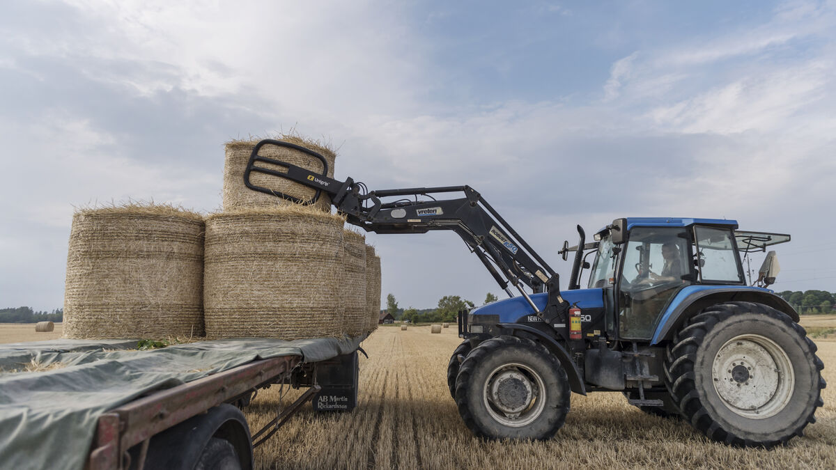 Swedish Producer Prices Rise Most