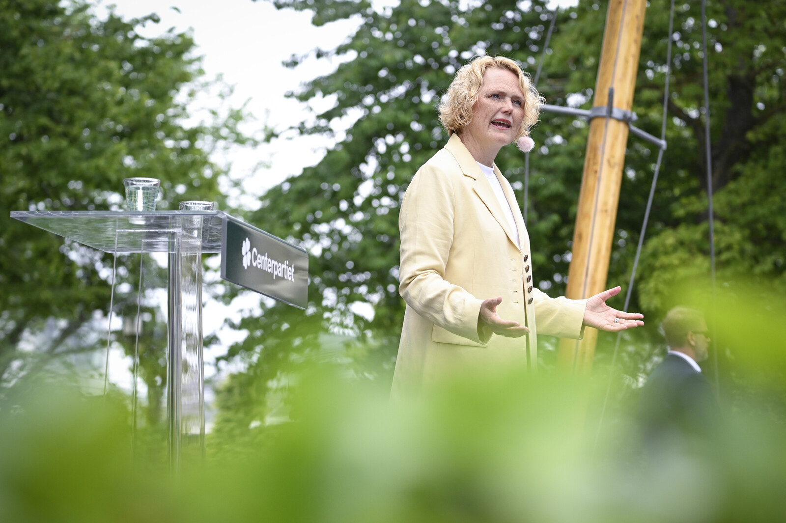 Anna-Karin Hatt Urges New Government to Prioritize Climate Action
