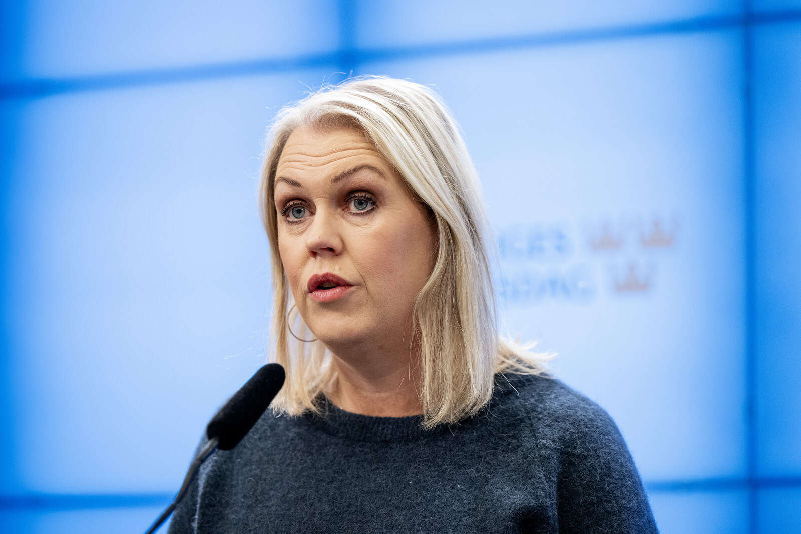 Social Democrats Propose Needs-Based Establishment for Welfare Sector