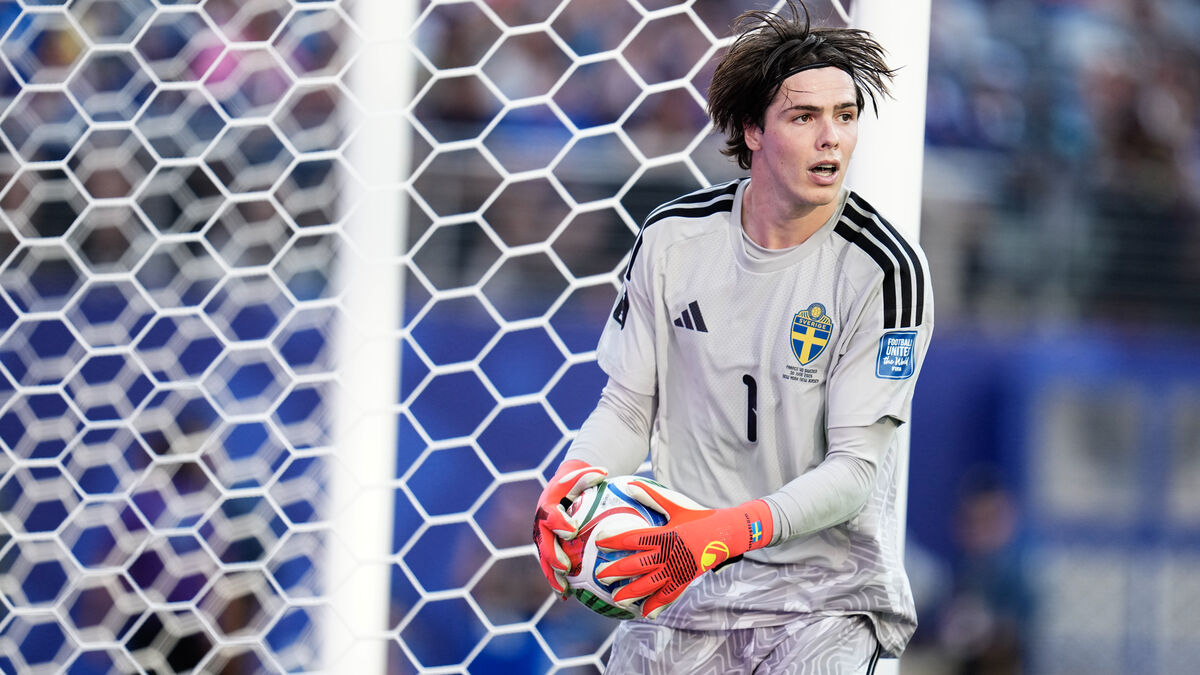 Sweden goalkeeper Jacob Widell Zetterström