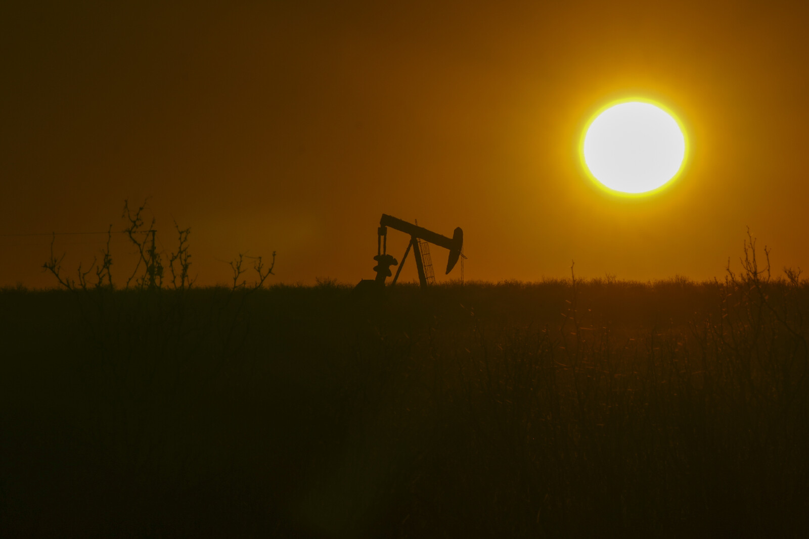 IEA Report: Oil Market Stable
