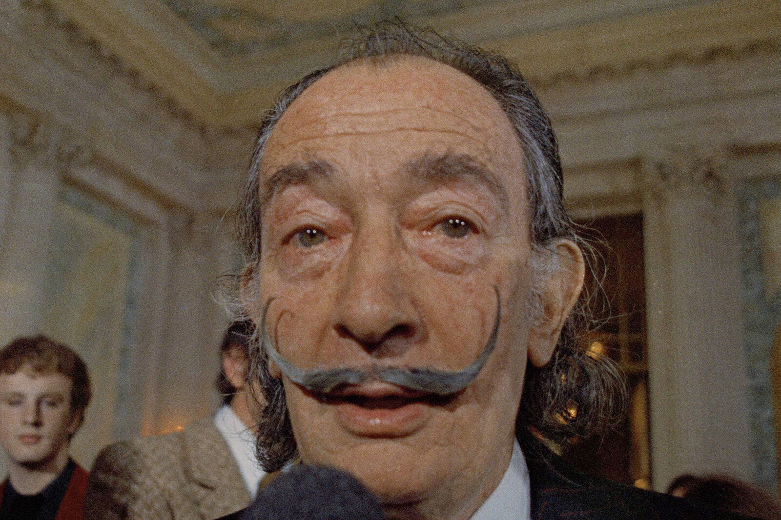 Authentic Salvador Dalí Illustration Discovered