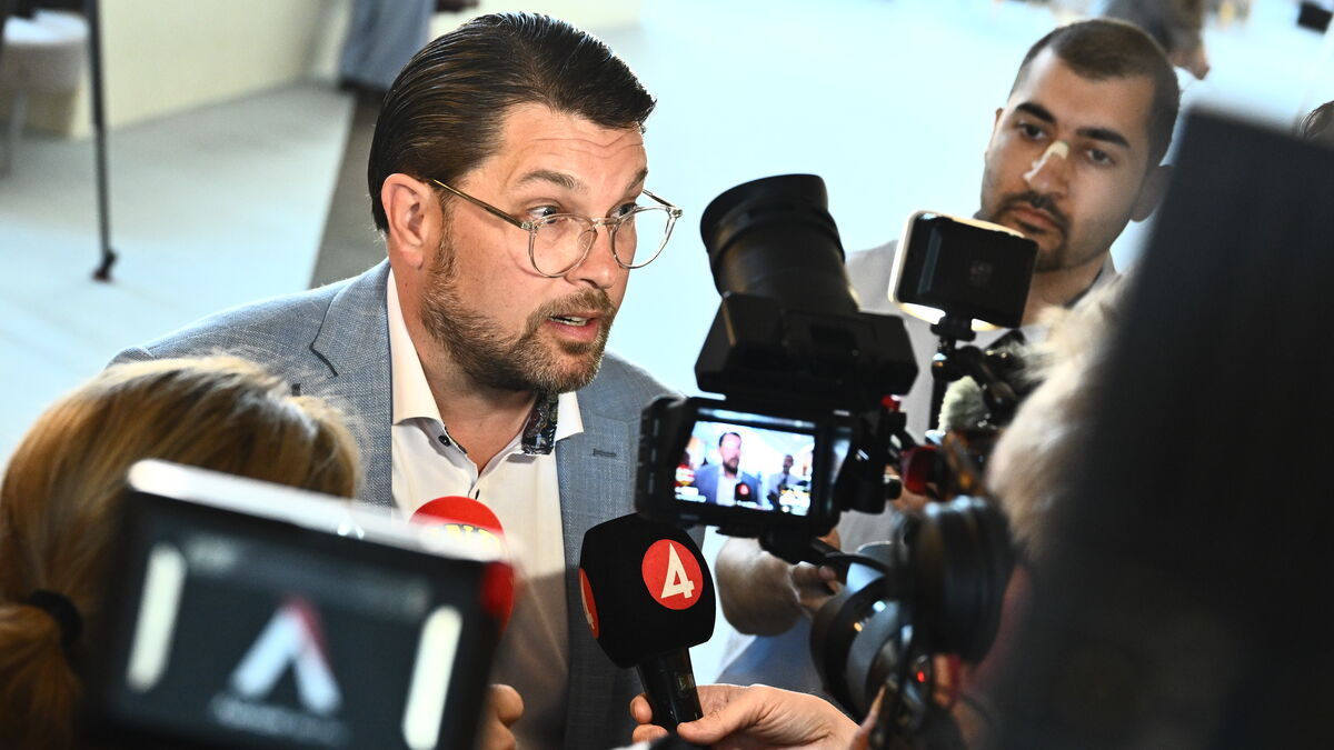 Åkesson did not report board position to the Riksdag